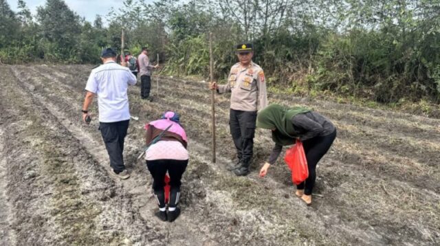 IMG-20250827-WA0010-768x576